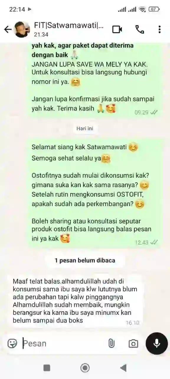 Pinggang (1)